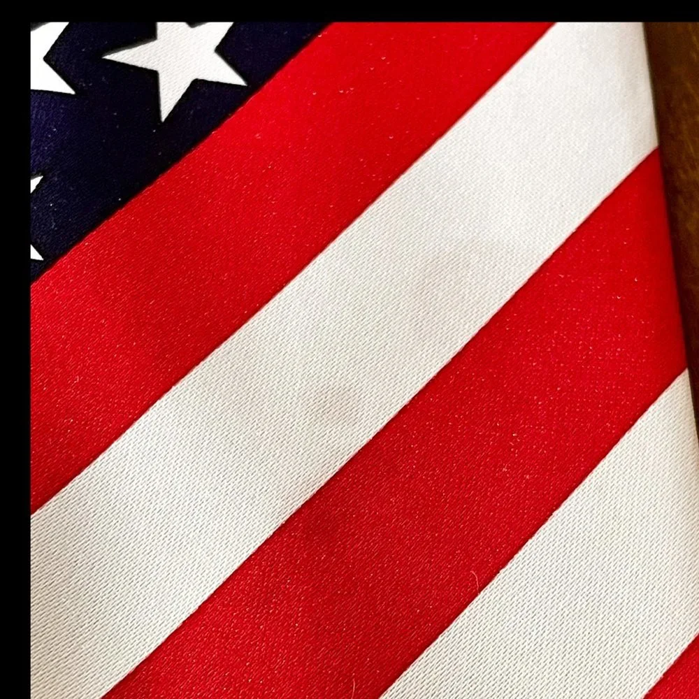 ⭐️HP⭐️VTG▪️RENE CHAGAL▪️Lot of 2 Handmade Patriotic American Flag Neckties